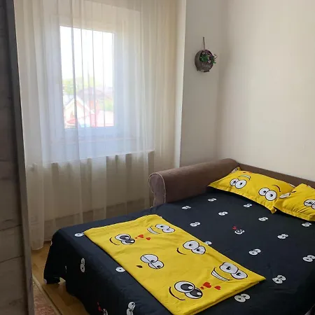Apartment Apartament Raul